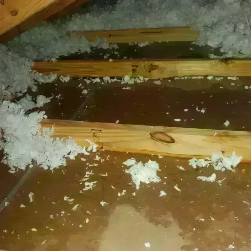 Attic Water Damage in Leeds, ME